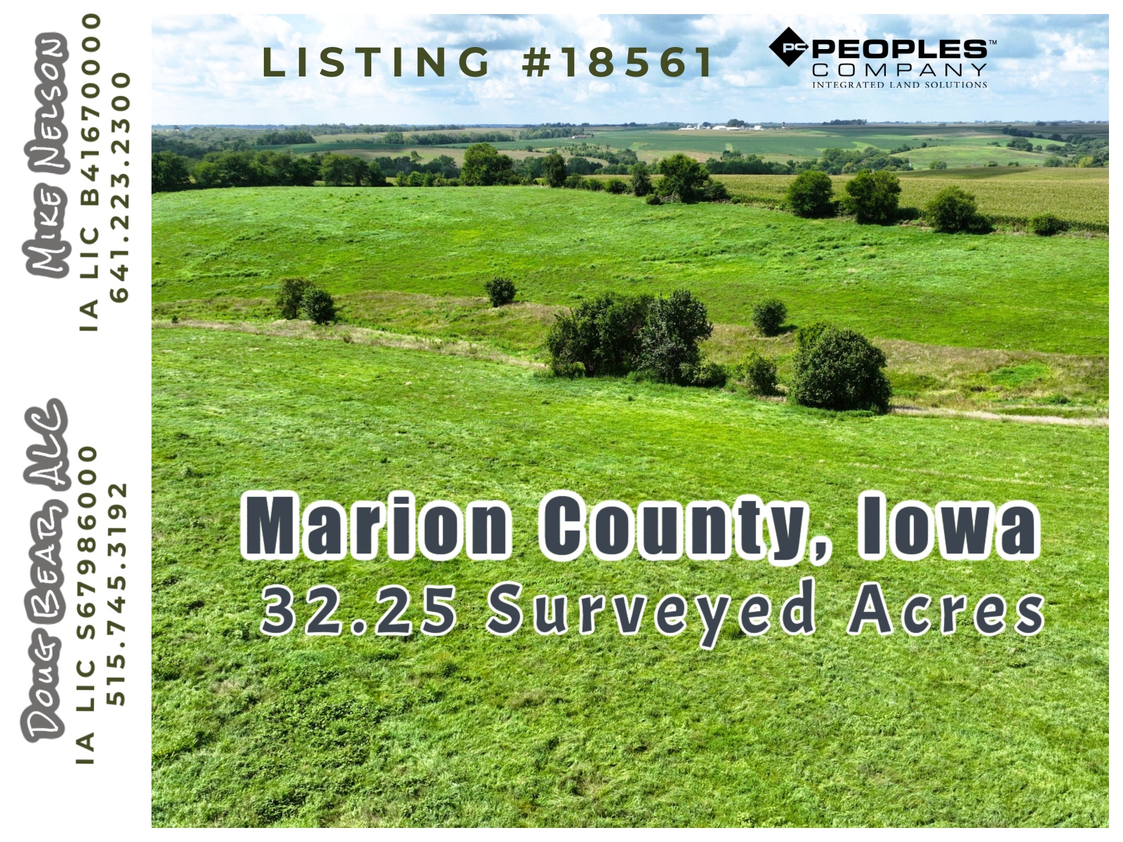 Listing #18561